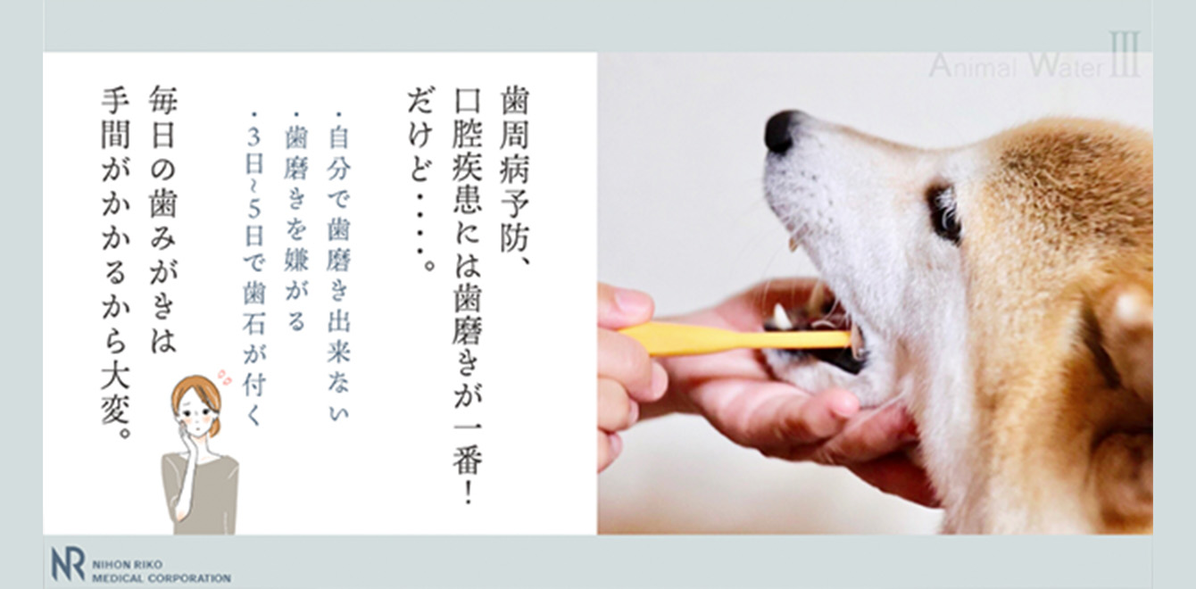 歯周病予防、口腔疾患には歯磨きが一番！ だけど・・・・。毎日の歯みがきは手間がかかるから大変。